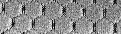 K168-19