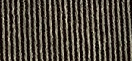 K81-1