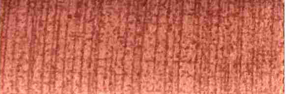 S241-100