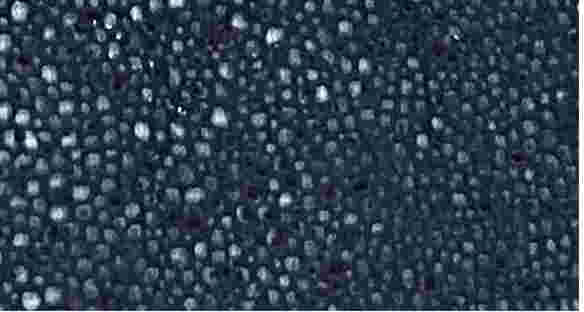 k295-11