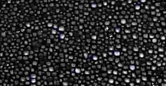 k295-12