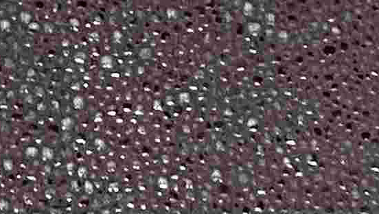 k295-8