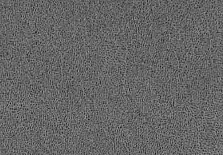 k335-20